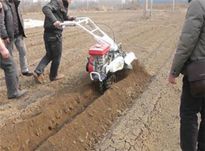 小型開(kāi)溝機(jī)