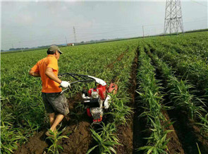 大姜開溝機(jī)