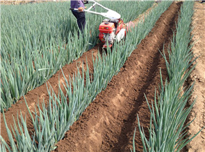 <b>大蔥開溝機</b>