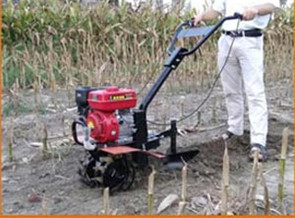 開(kāi)溝作業(yè)